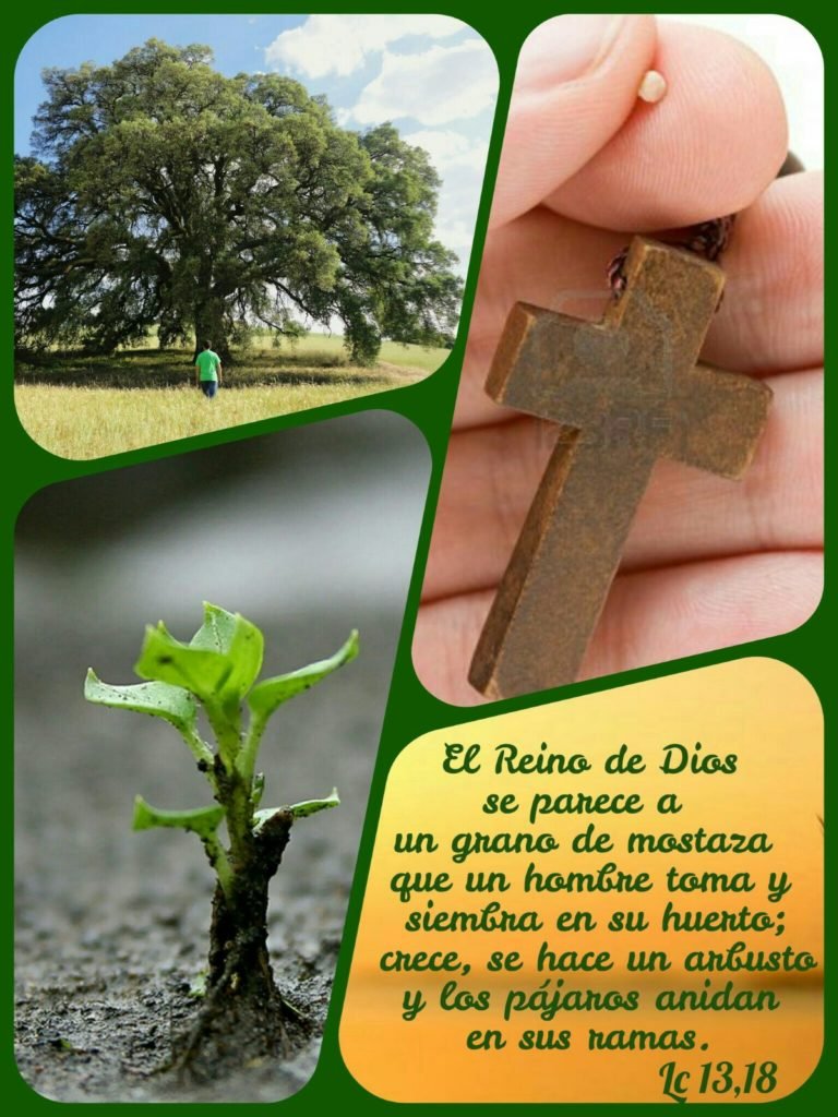 El_grano_de_mostaza.jpg