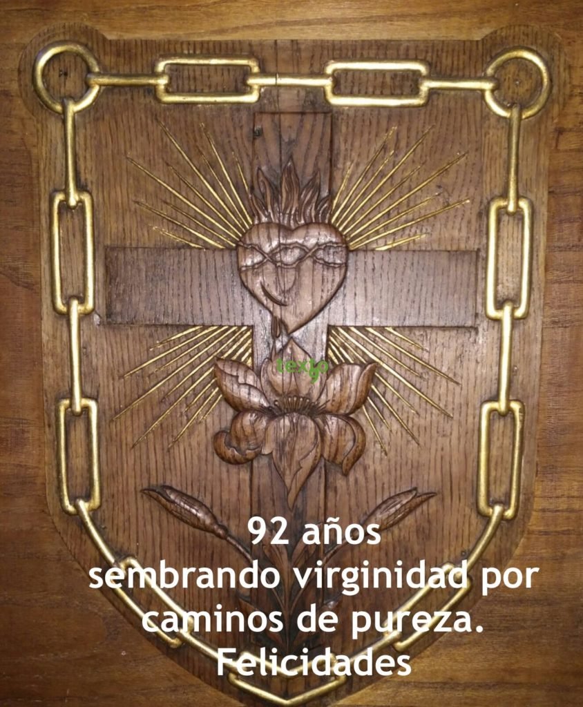 escudo_ajm_copia.jpg