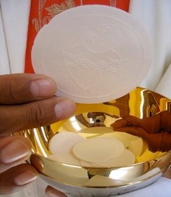 Semillas para el día del Corpus