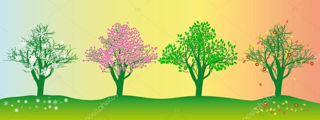 depositphotos_34886223-stock-illustration-tree-in-different-seasons.jpg