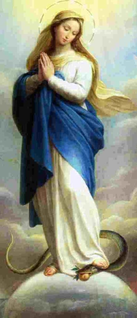 inmaculada_serpiente.jpg