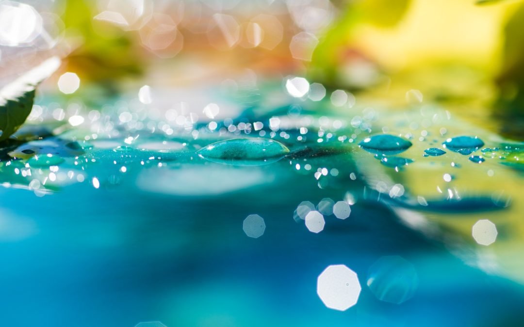 Gota cristalina que cayó en la tierra