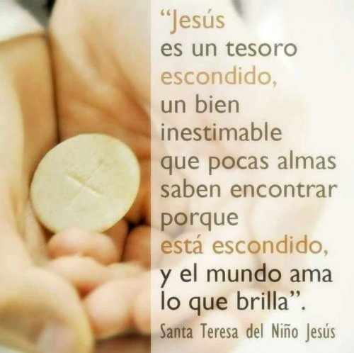 El Tesoro | Alianza en Jesus por María
