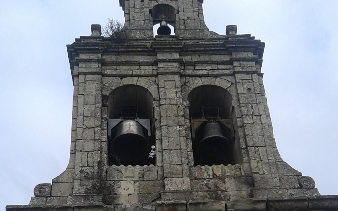 Desde el mundo rural