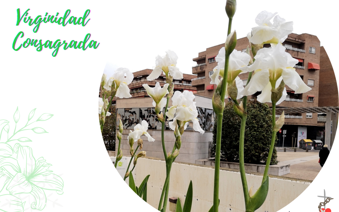 Virginidad consagrada 14