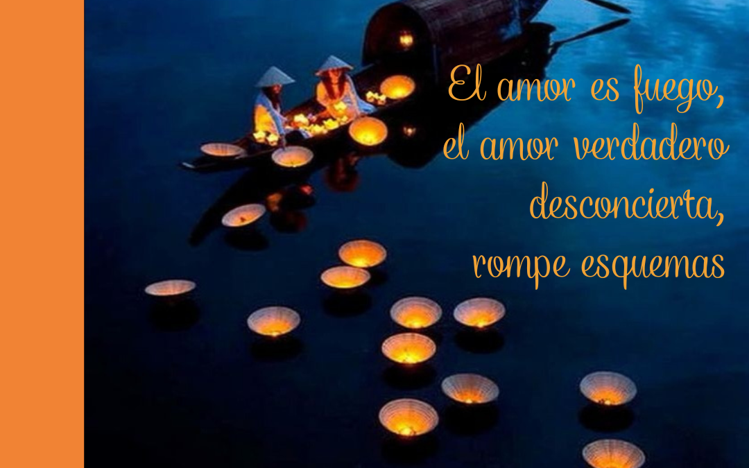 Domingo 20 T.O.