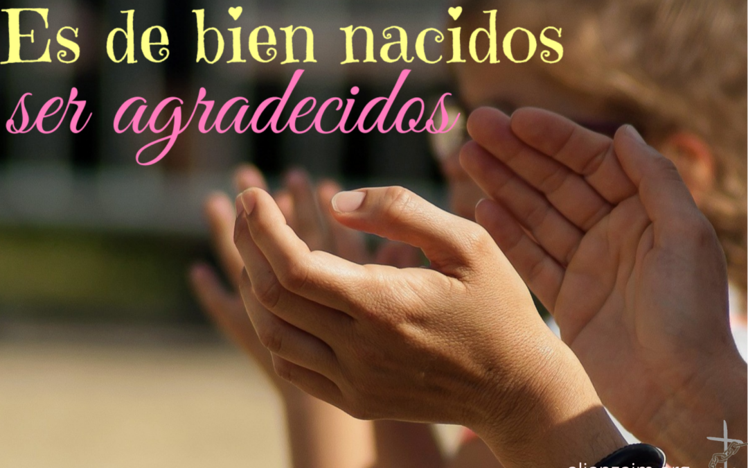 Domingo XXVIII TO