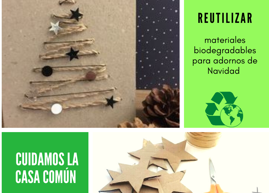 Cuidamos la casa común (23)