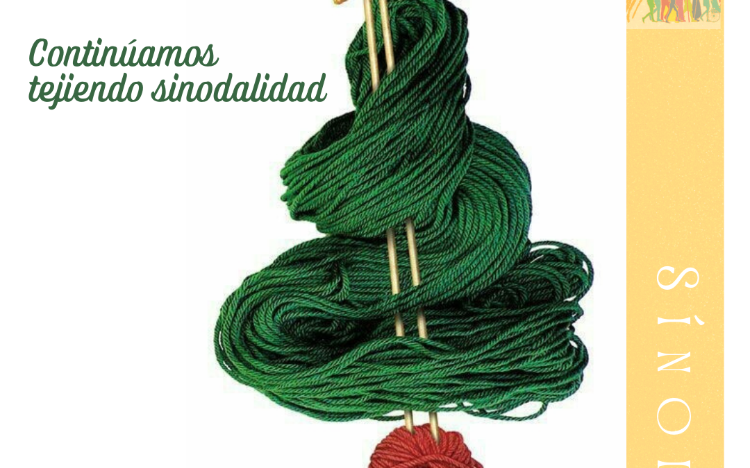 Sínodo de la Sinodalidad (18)