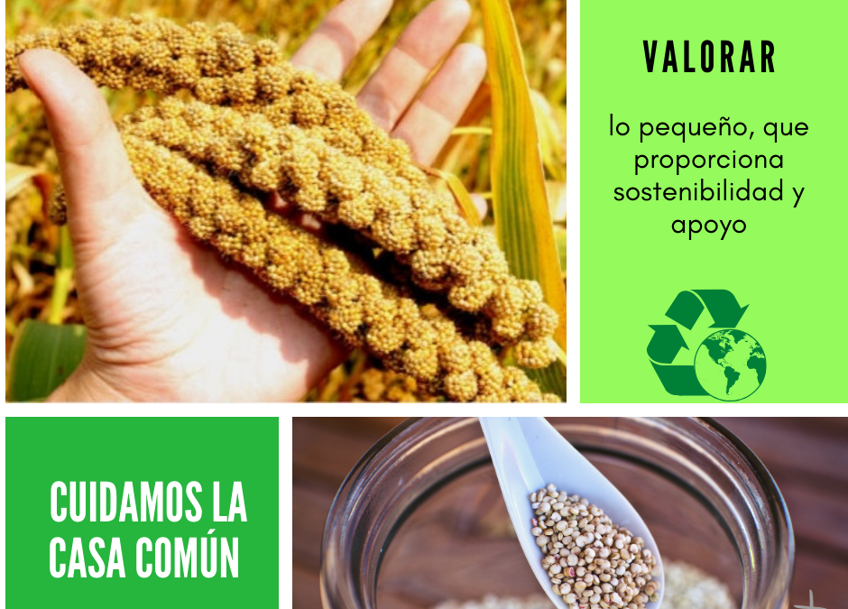 Cuidamos de la casa común (24)