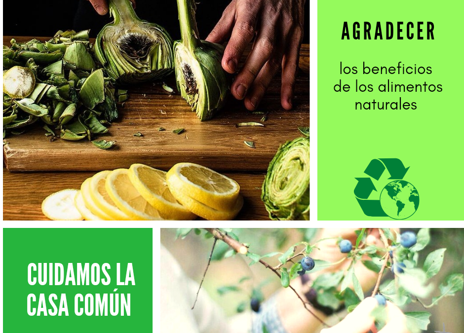 Cuidamos la casa común (26)