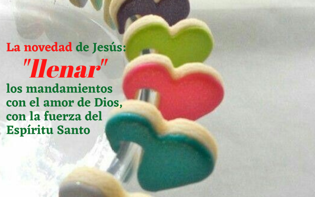 VI Domingo T.O. (A)