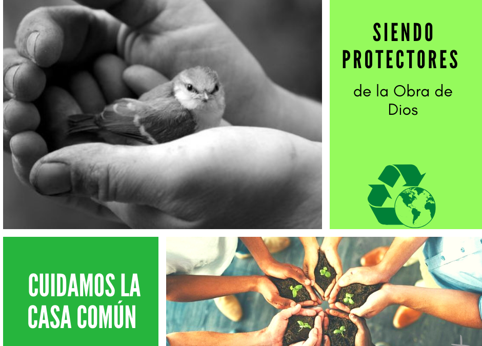 Cuidamos de la casa común (28)