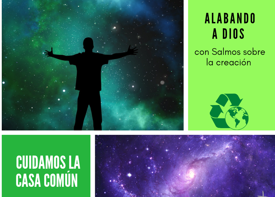 Cuidamos la casa común (29)