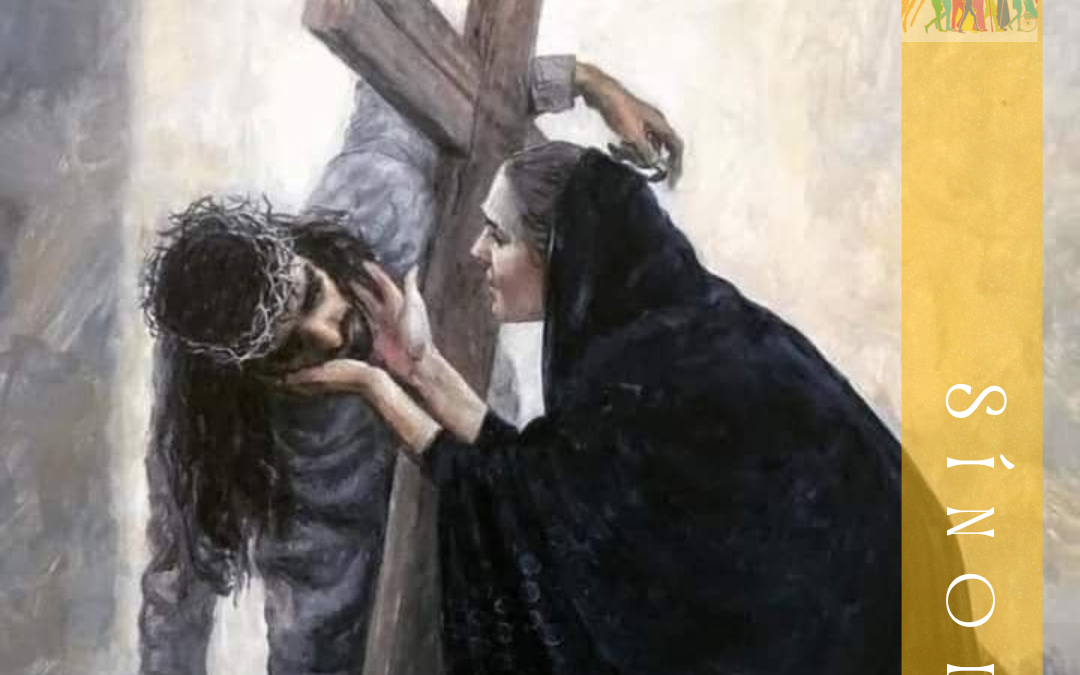 Sínodo de la Sinodalidad (24)