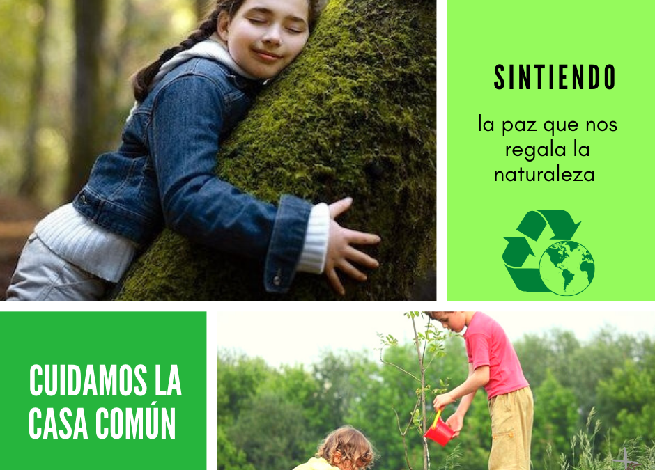 Cuidamos de la casa común (31)