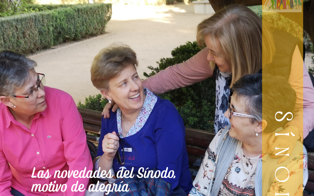 Sínodo de la Sinodalidad (26)