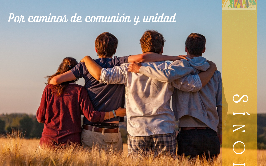 Sínodo de la Sinodalidad (28)