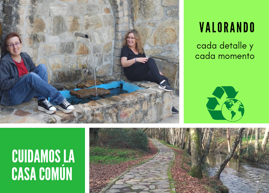Cuidamos la casa Común (33) 
