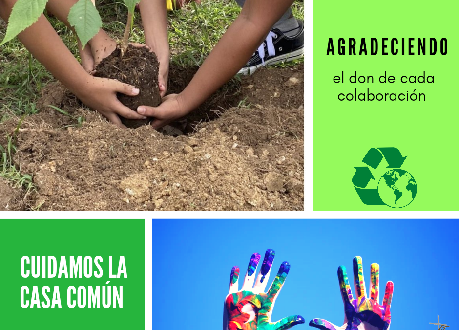 Cuidamos de la casa común (33)