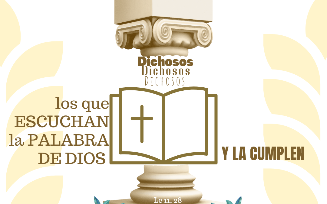Domingo XV  TO