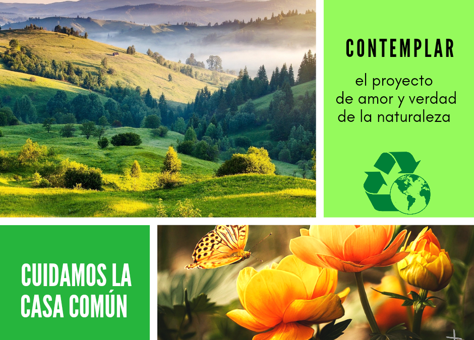 Cuidamos la casa común (35)