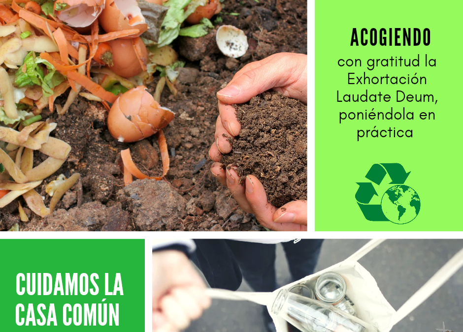 Cuidamos la casa común (40)