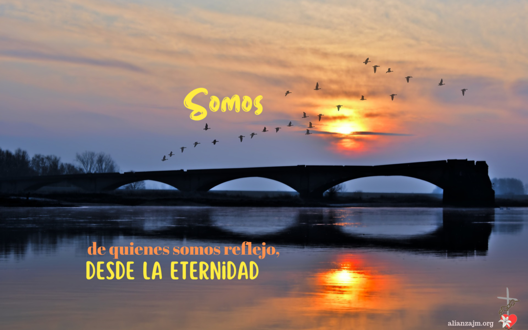 Domingo XXIX T. O.