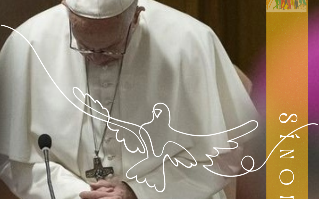 Sínodo de la Sinodalidad (33)