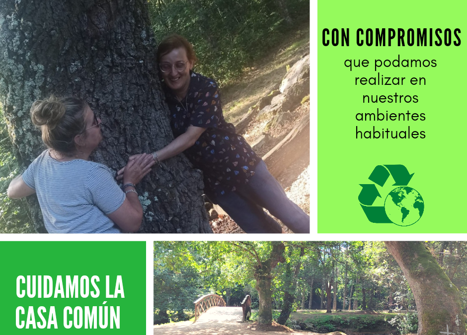 Cuidamos la casa común (41)