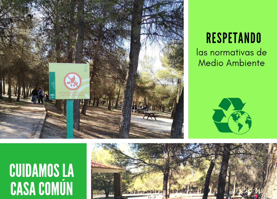 Cuidamos la casa común (43)