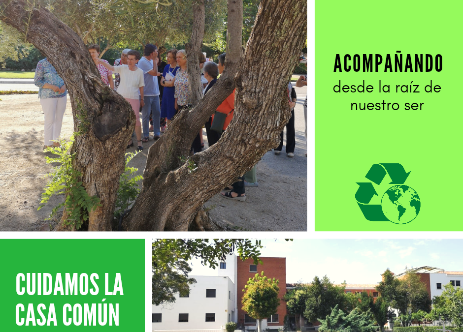 Cuidamos la casa común (42)