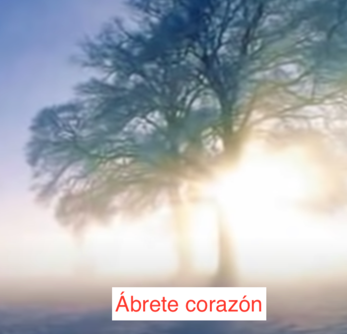 Ábrete corazón