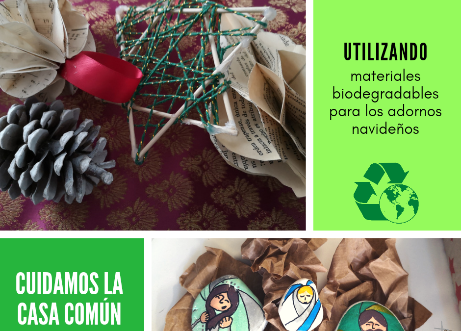 Cuidamos la casa común (44)