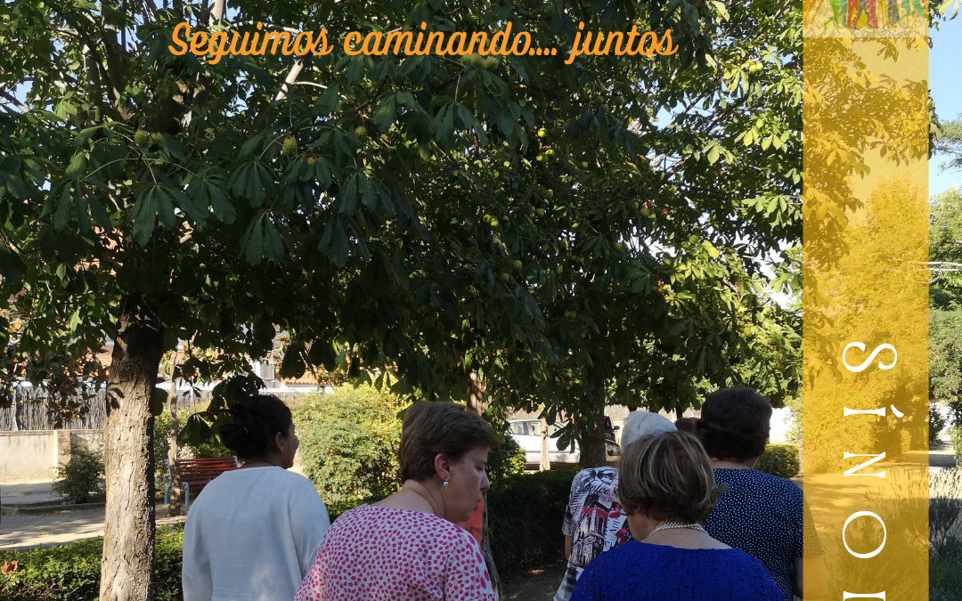 Sínodo de la Sinodalidad (37)