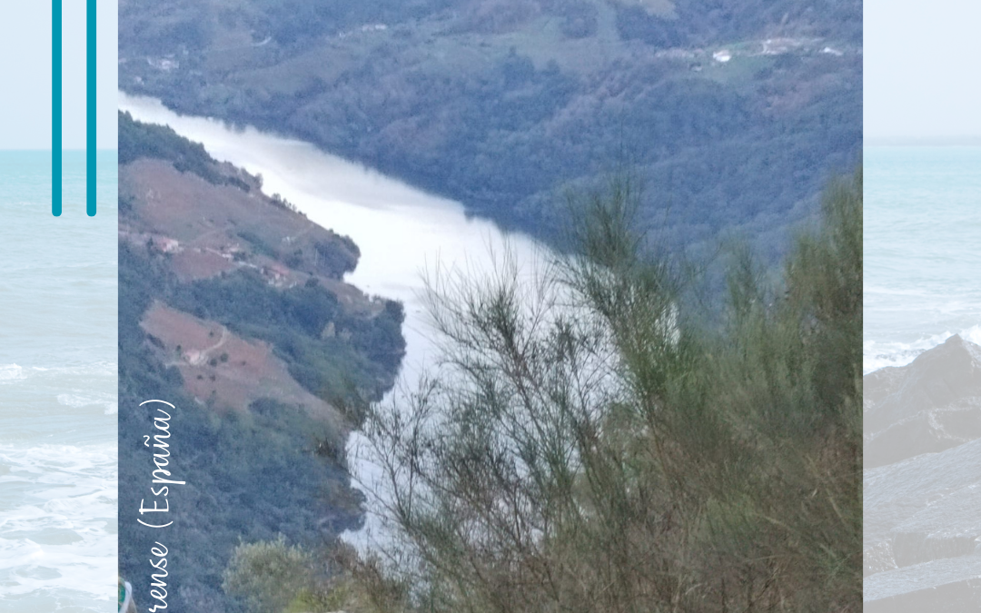 Cuidamos la casa común (enero 2024)