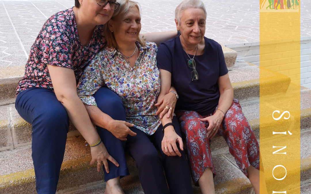 Sínodo de la Sinodalidad (24)