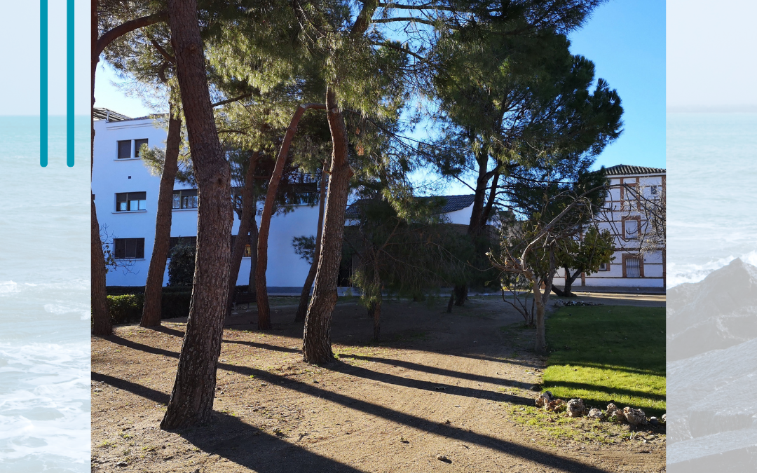 Cuidamos la Casa común (24.2)