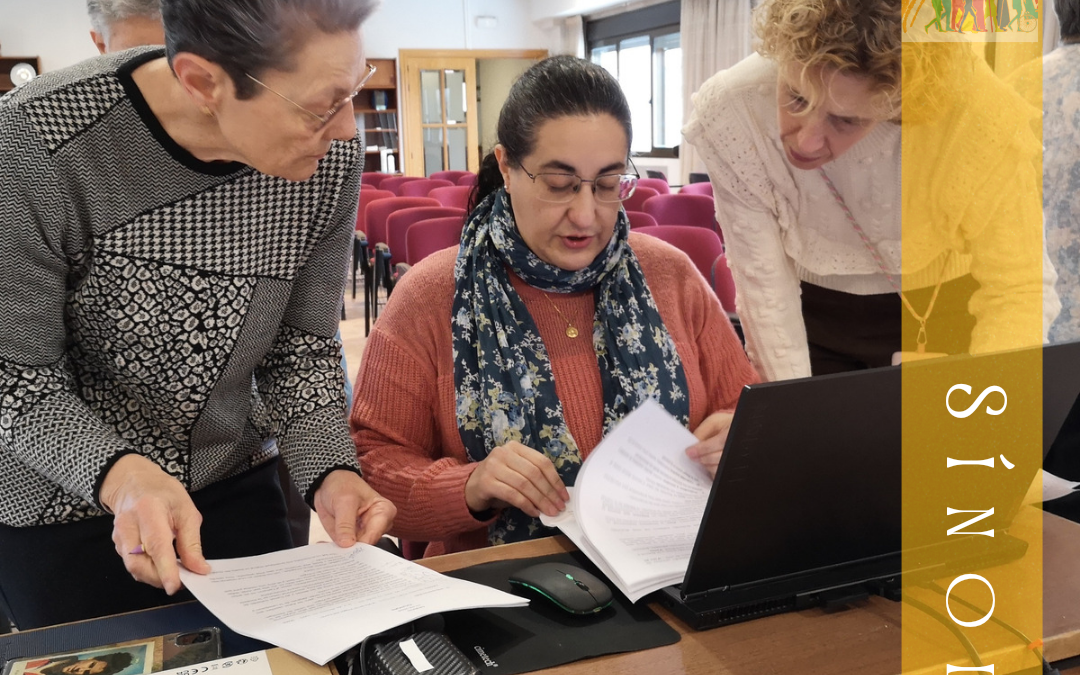 Sínodo de la Sinodalidad (24.4)