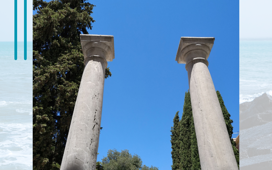 Cuidamos la casa común (24.3)