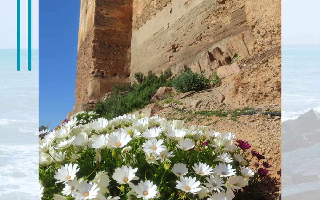 Cuidamos la casa común (24. 5)