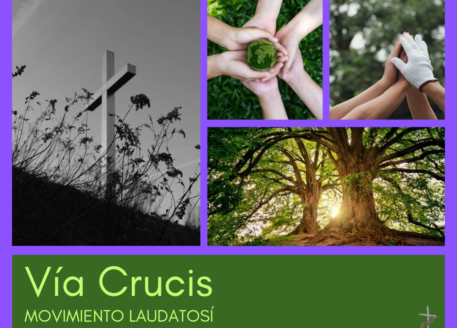 Cuidamos la casa común (24.4)