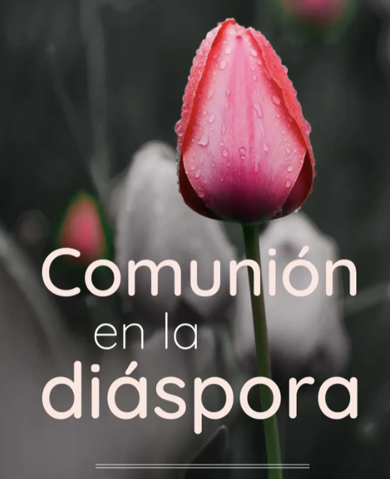 Comunión en la diáspora.Simposio sobre Institutos Seculares ITVR-CEDIS