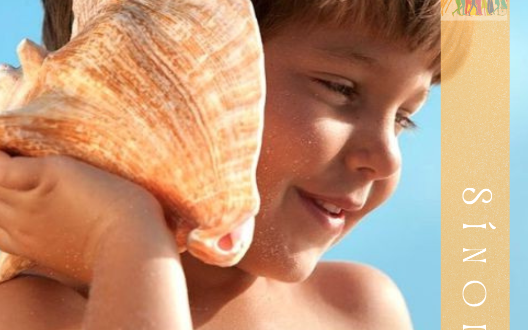 Sínodo de la Sinodalidad (24.7)