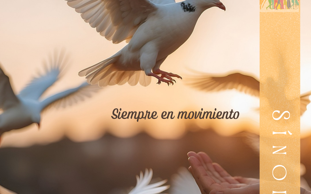 Sínodo de la Sinodalidad (24.8)