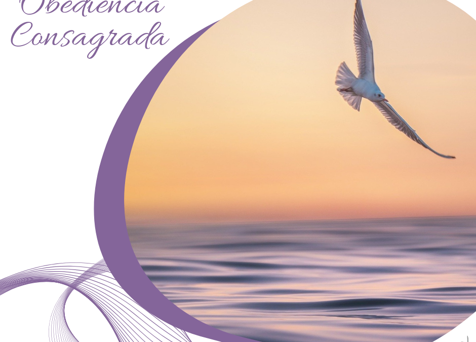 Obediencia Consagrada (23)