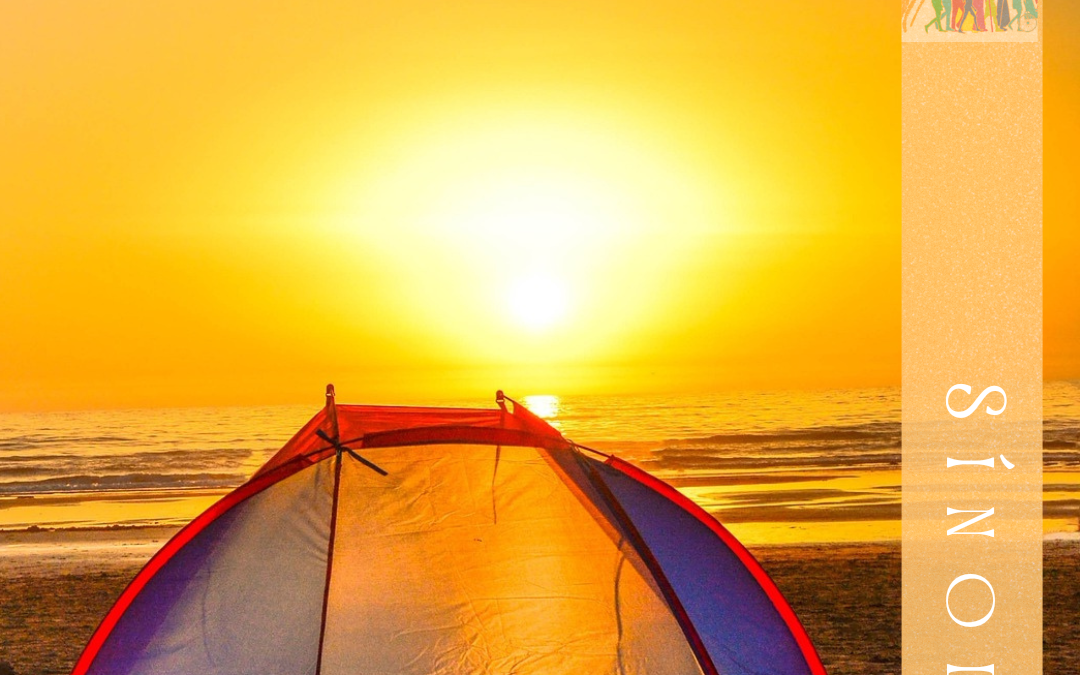 Sínodo de la Sinodalidad (24.9)