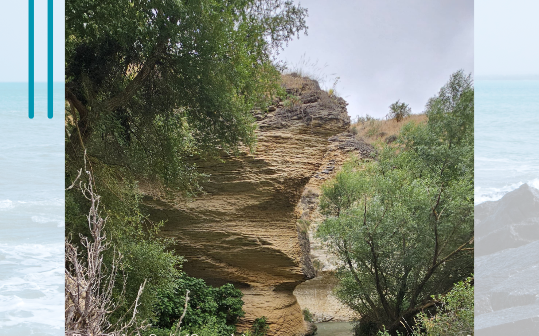 Cuidamos de la casa común (24.9)