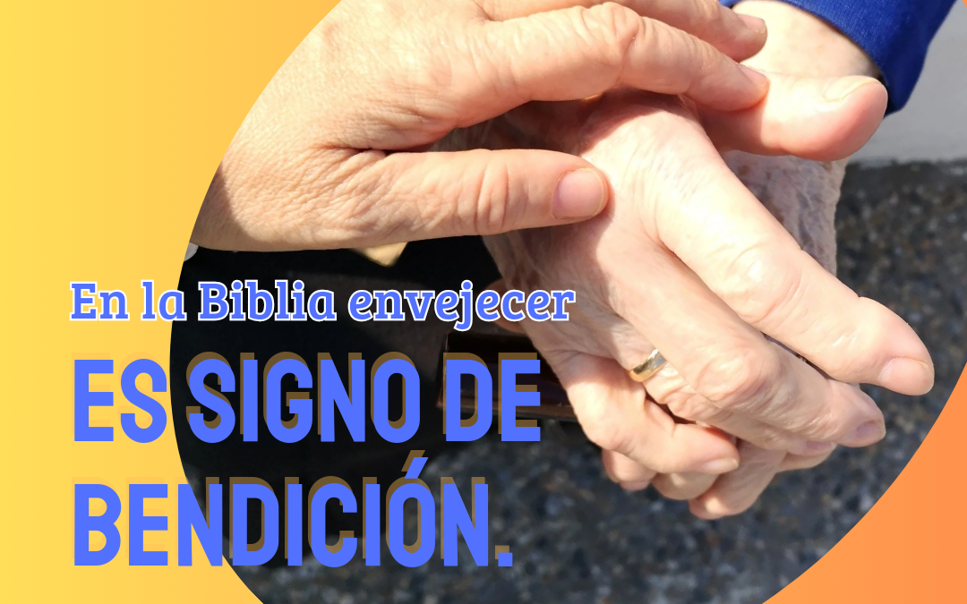 Domingo XVII TO.   IV Jornada Mundial de los abuelos y mayores 