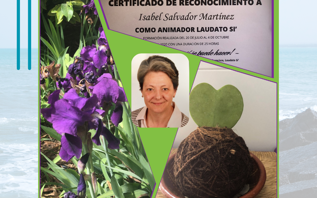 Cuidamos de la casa común (24-10)